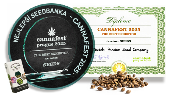 Dutch Passion - Nejlepší seedbanka 2025